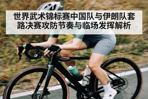 世界武术锦标赛中国队与伊朗队套路决赛攻防节奏与临场发挥解析